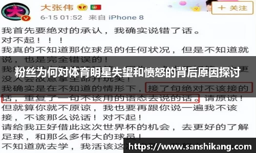粉丝为何对体育明星失望和愤怒的背后原因探讨