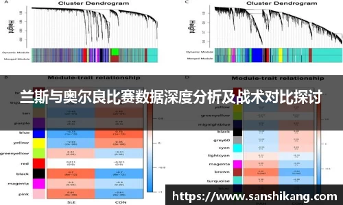 兰斯与奥尔良比赛数据深度分析及战术对比探讨